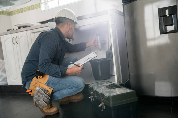 Best Plumbing Inspection Services  in Chanhassen, MN